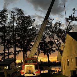 American Tree Solutions