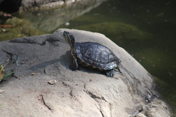 Casa de Fruta by null