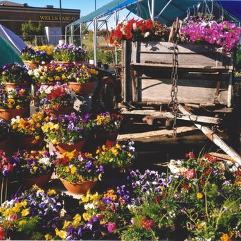 Plum Creek Garden Market Nurseries Gardening 2150 S Monaco Plum Creek Garden Market Nurseries
