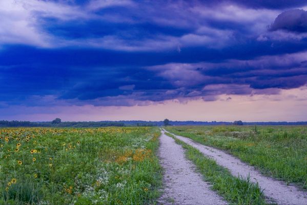 Columbia Bottom Conservation Area by null