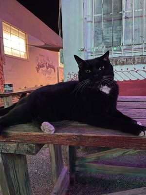 Saint Charles Tavern by null