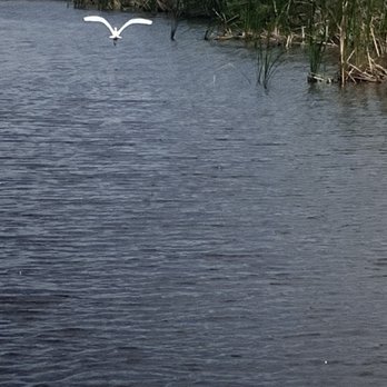 Swamp Monster Airboat Tours - Boat Tours Near Me - Pompano, Florida Swamp Monster Airboat Tours - Boat Tours Near Me - Pompano, Florida
