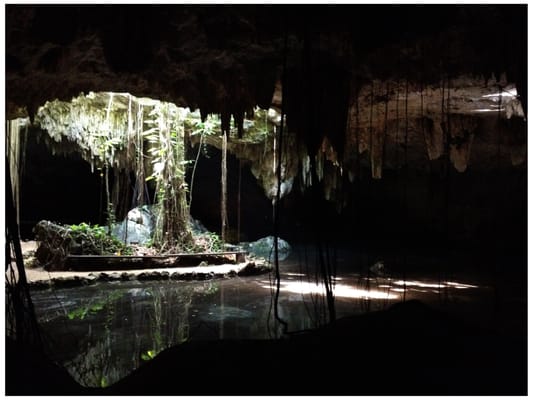Cenote Chaak Tun by null