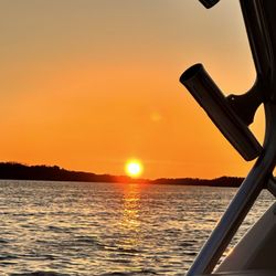 Salty Seahorse Charters