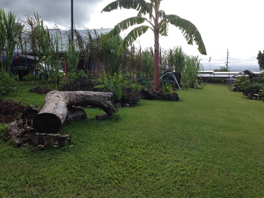 Hawaiʻi Community College by null