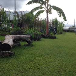 Hawai'i Community College - The beautiful garden at HCC