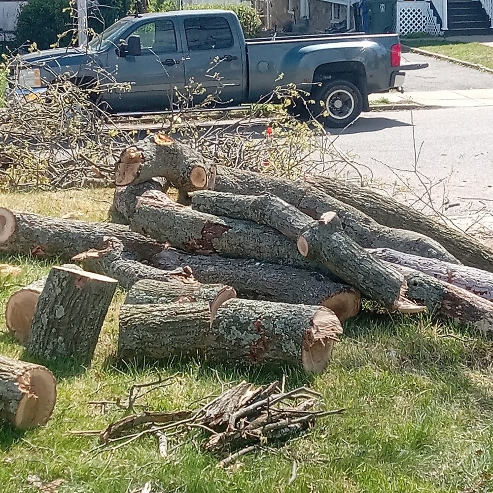 Wholesale Mingo Marker Main Frame With 16" Marking Wheel And Trigger For Your Store - View #2