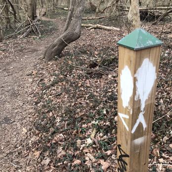Red Maple Trail - When you happen soon this -- don't follow the arrows (unless you want to be on the White Oak Trail). - Hiking Near Me - Louisville, Kentucky