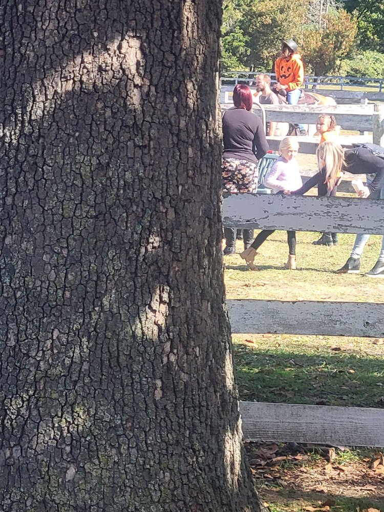 Hawks Hollow Farm - equestrian in Kingsville, MD