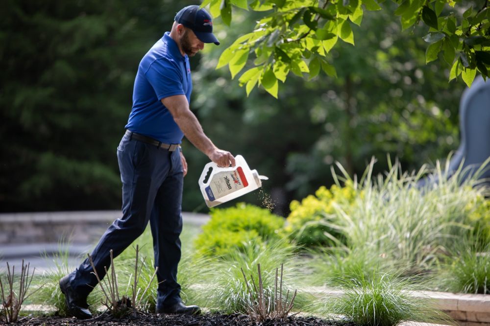 PROSTAFF TERMITE AND PEST CONTROL OF IOWA Updated October 2024 71