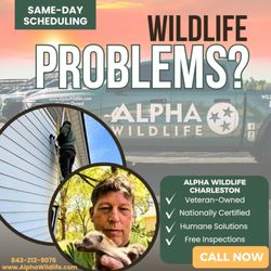 Alpha Wildlife