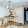 CleanMaster Services of Denver