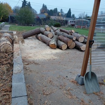 Ventura Tree Service - Tree Services Near Me Ventura Tree Service - Tree Services Near Me