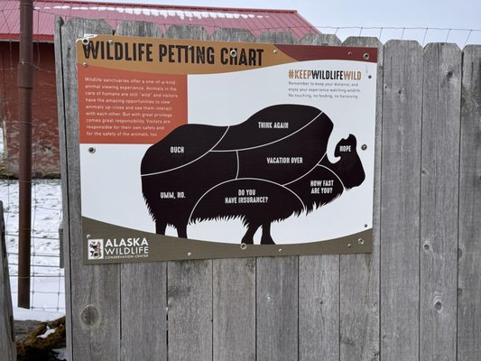 Alaska Wildlife Conservation Center by null