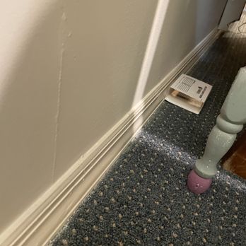 Square One Pest Solutions - Pest Control Near Me
