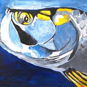 Highlands Art League - Art Classes Near Me - Sebring, Florida Highlands Art League - Art Classes Near Me - Sebring, Florida