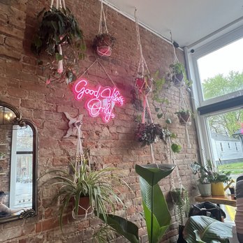 Phalcha - Coffee & Tea Near Me - Louisville, Kentucky Phalcha - Coffee & Tea Near Me - Louisville, Kentucky