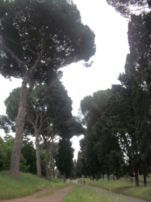 Via Appia Antica by null