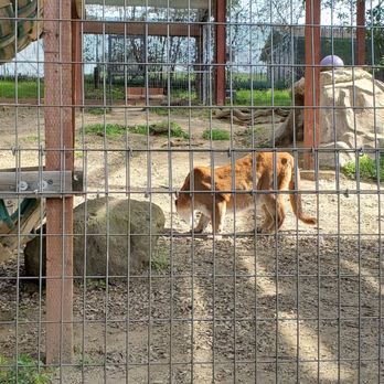 THE FOLSOM CITY ZOO SANCTUARY - Updated June 2024 - 582 Photos & 259