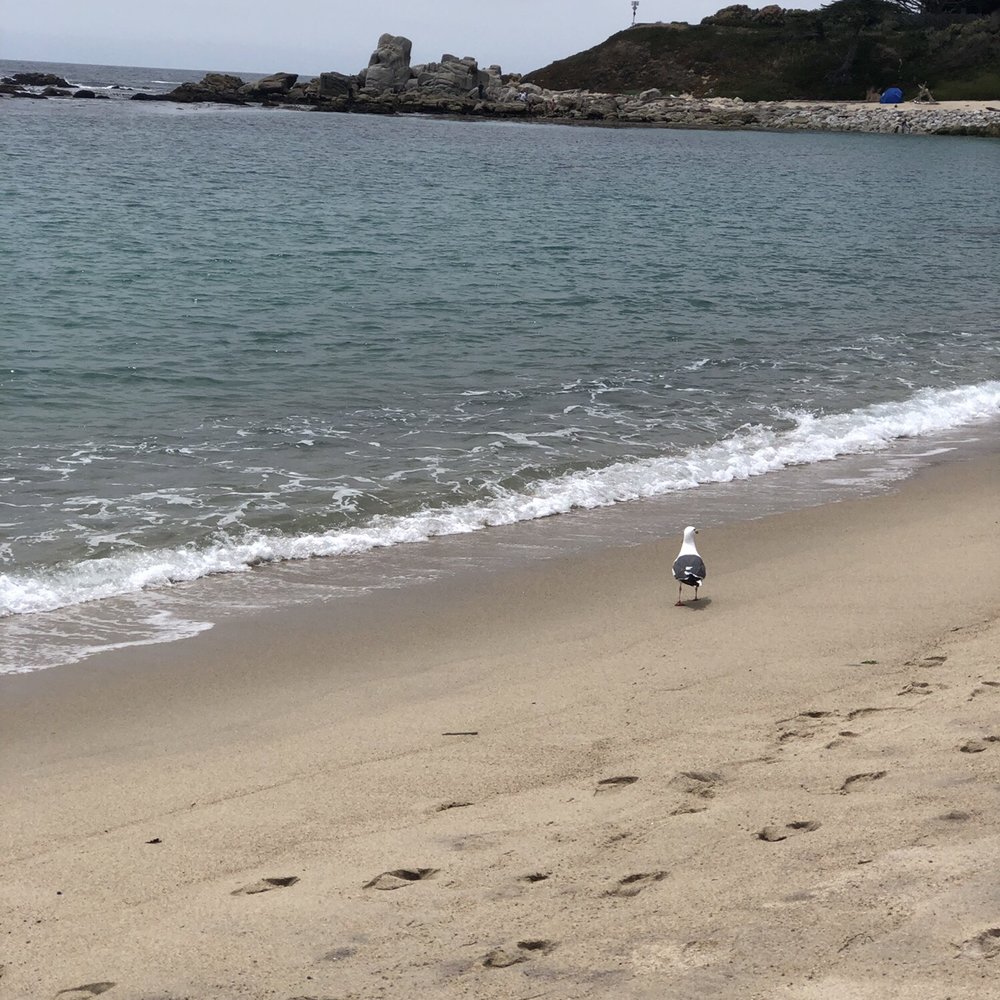 Carmel River State Beach - 6.30.19 - Beaches Near Me - Carmel, California