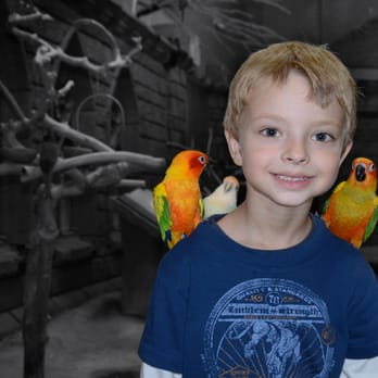 ksFotos - Portrait photography, Photo Editing - Session Photography Near Me - Selden, New York ksFotos - Portrait photography, Photo Editing - Session Photography Near Me - Selden, New York