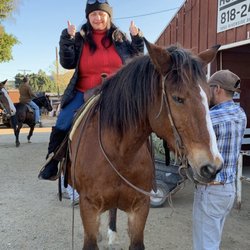 LA Horse Rentals