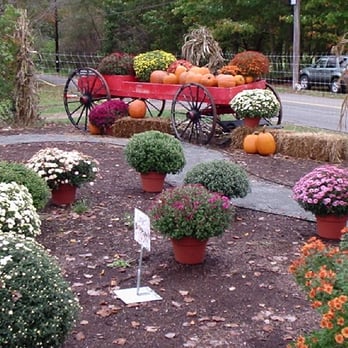 Cider Hill Farm - Pick Your Own Farms Near Me - Amesbury, Massachusetts Cider Hill Farm - Pick Your Own Farms Near Me - Amesbury, Massachusetts
