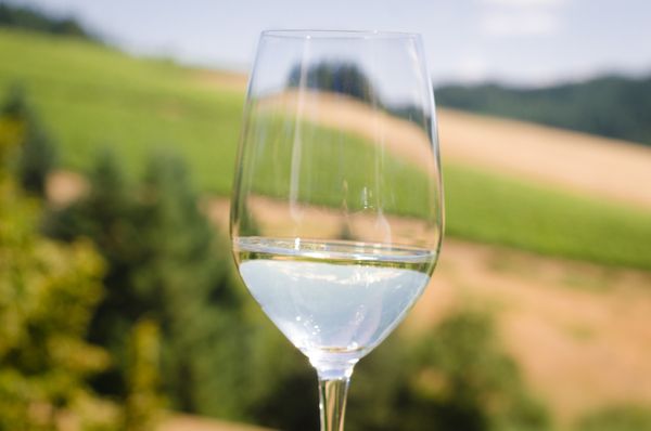 WillaKenzie Estate by null