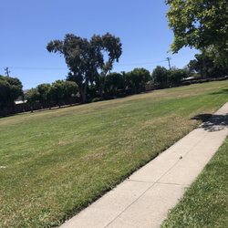 Long grassy fields before tennis courts