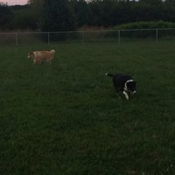 Fort Leonard Wood Dog Park