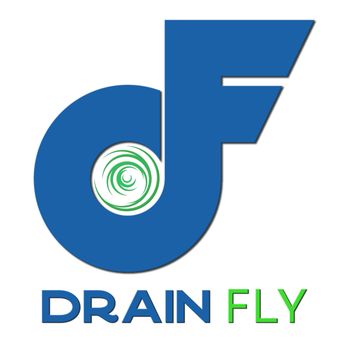 Drain Fly - Plumbing Near Me Drain Fly - Plumbing Near Me