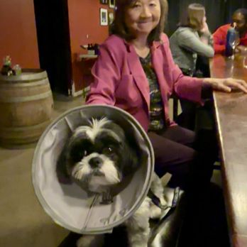 VIN312 Winery - Dog friendly - Wine Tasting Room Near Me - Chicago, Illinois