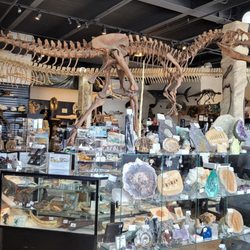 The Dinosaur Store - The store floor and what it has.