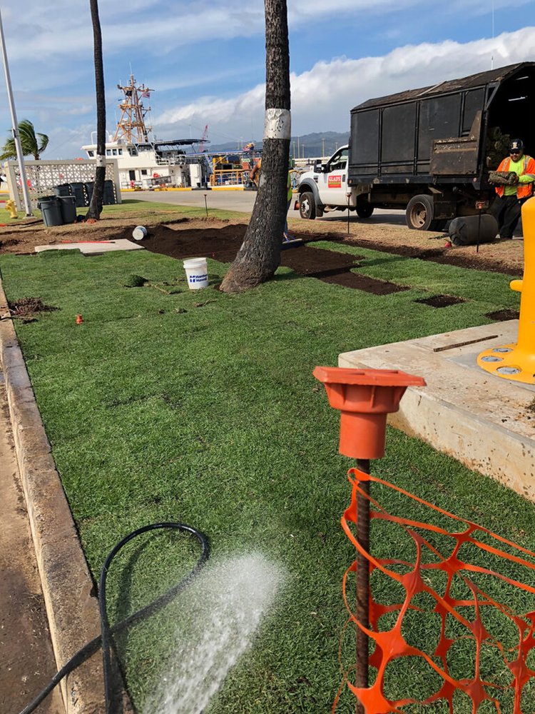 Glad's Landscaping & Tree Trimming - tree service in Honolulu, HI
