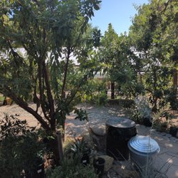 Plantable Nursery & Cafe
