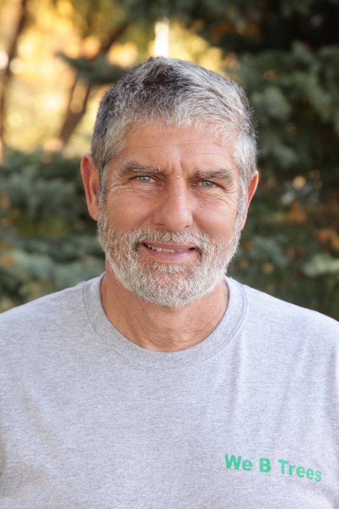 We B Trees - tree service in Tulsa, OK