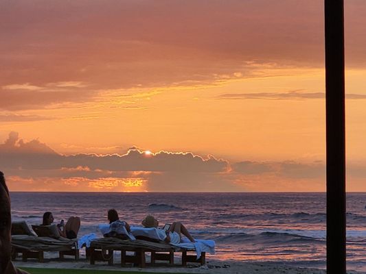 Beach Tree Restaurant & Bar by null