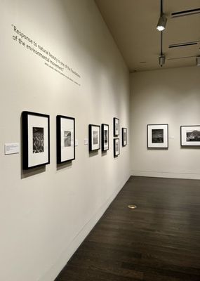Harry Ransom Center by null