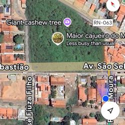 Cajueiro de Pirangi - Google map view.