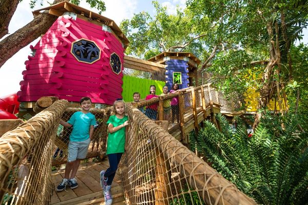 Jungle Island by null