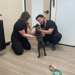 Our puppy with Sploot vet techs