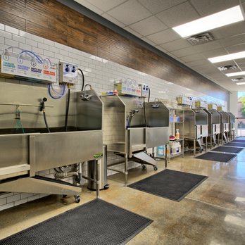 Petbar Boutique - Bellaire - Pet Groomers Near Me - Bellaire, Texas Petbar Boutique - Bellaire - Pet Groomers Near Me - Bellaire, Texas