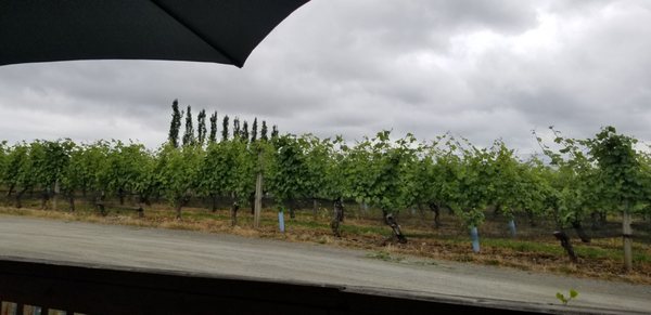 Bacchus Bistro by null