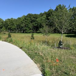 Kephart Park - Prairie grasses