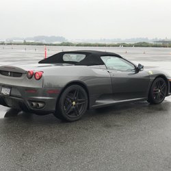 North Shore Exotics