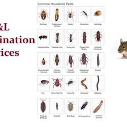T & L Extermination Services