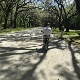 Rented bikes for the trek out! Highly recommend!
