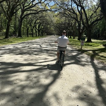 Wormsloe State Historic Site - Rented bikes for the trek out! Highly recommend! - Landmarks & Historical Buildings Near Me - Savannah, Georgia