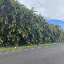 Any Kine Hauling