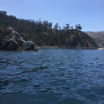Catalina Island - Local Flavor Near Me Catalina Island - Local Flavor Near Me
